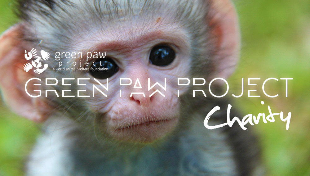 green-paw-project-charity